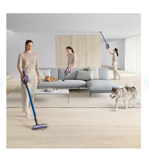 V8 Origin Dyson V8 Animal Extra Cordless Vacuum Review Dyson