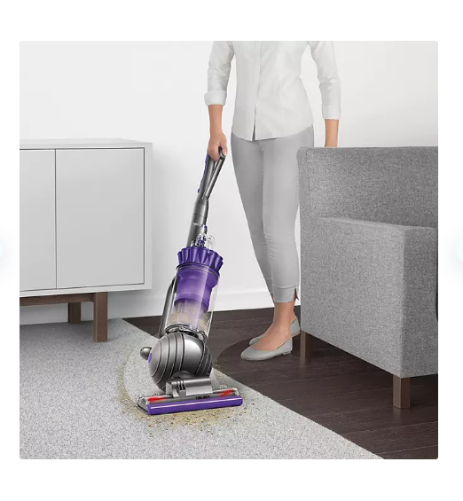 Dyson Ball Animal 2 Upright Vacuum Cleaner for Carpets and Hard Floors