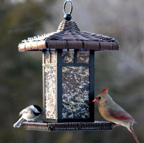 National Audubon Wicker Lantern Bird Feeder