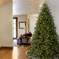 National Tree 7'6" Pre-Lit Jersey Fraser Fir Hinged Tree - Clear