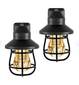 EcoScapes Vintage Black Cage LED Night Light (2 pk.)