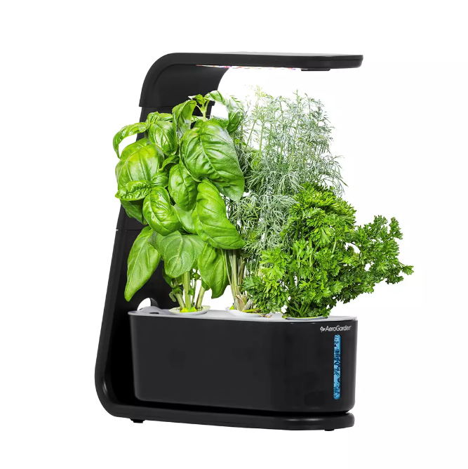 aero garden seed starter AeroGarden Sprout Black with Seed Starting System Bundle – Openbax