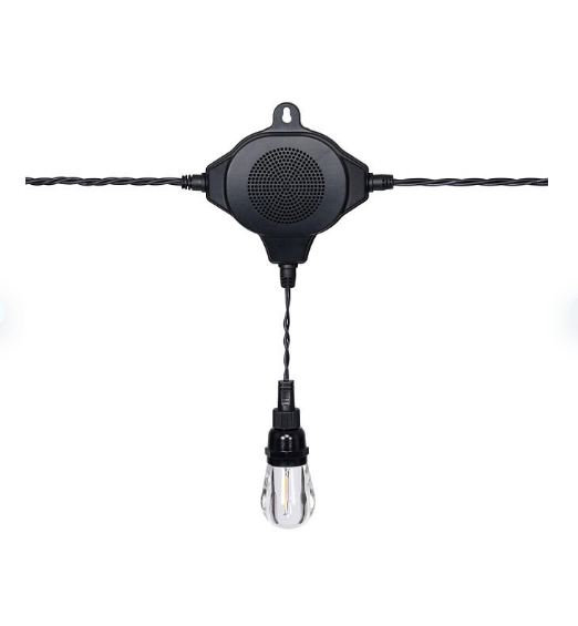 Honeywell LED Indoor/Outdoor 36' String Lights with Bluetooth