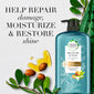 Herbal Essences bio:renew Argan Oil & Aloe Sulfate-Free Shampoo (29.2 fl. oz.)