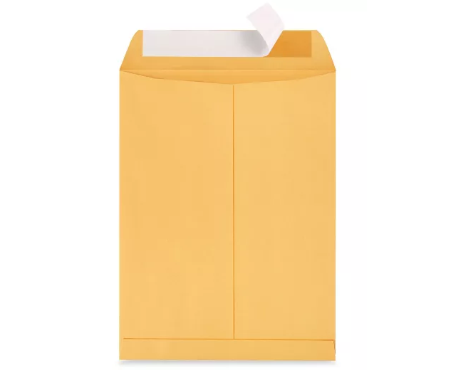 Self-Seal Envelopes - Kraft, 9 x 12" (QTY./CASE 100)