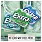 Extra Mint Sugar-Free Chewing Gum Bulk Variety Pack. 20 ct.