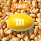 M&M'S Peanut Milk Chocolates Full Size Chocolate Candy Bulk Candy (1.74 oz. 48 ct.)