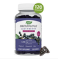 Nature's Way Sambucus Elderberry Herbal Supplement Gummies. Gluten Free (120 ct.)