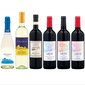 Premium Wines of Europe Entertainment Bundle Variety (750 ml bottle. 6 pk.)