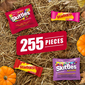 Starburst & Skittles Chewy Candy Assorted Bulk Variety Pack (255 ct. 6.5lbs)