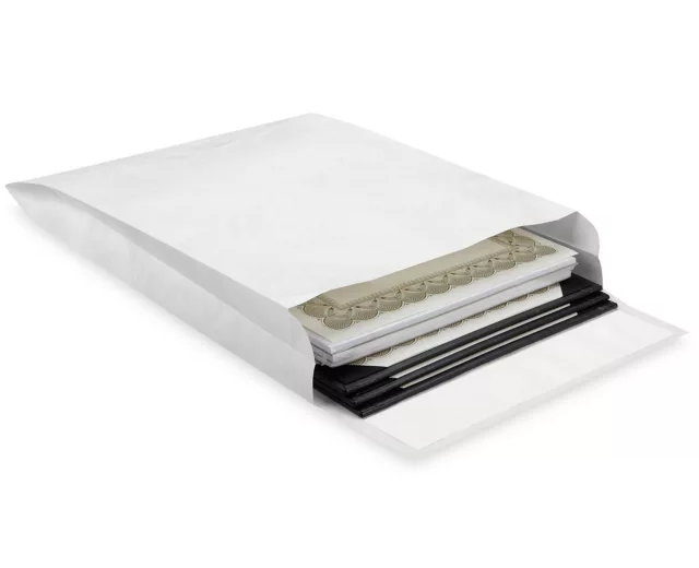 Tyvek® Self-Seal Open End Expandable Envelopes - 10 x 13 x 2" (QTY./CASE 100)