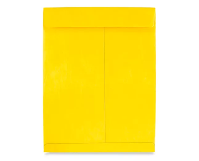 Tyvek® Envelopes - 12 x 15 1⁄2" (QTY./CASE 100) (Choose a Color)