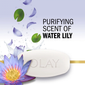 Olay Ultra Fresh Bar Soap. Notes of Water Lily (4 oz. 16 ct.)