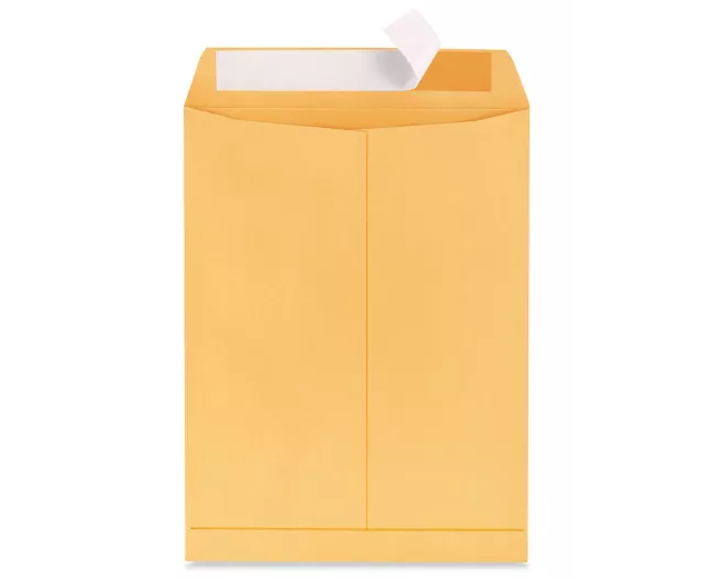 Self-Seal Envelopes - Kraft, 10 x 13" (QTY./CASE 100)