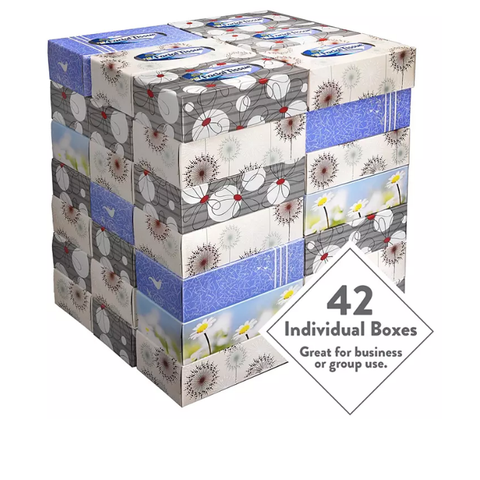 Member's Mark 2-Ply Soft and Strong Facial Tissue (110 tissues/pk. 42 boxes)